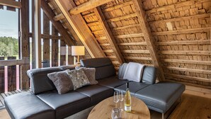 A modern loft-style room with a wooden ceiling, a sofa, a coffee table, and a view of the outdoors.