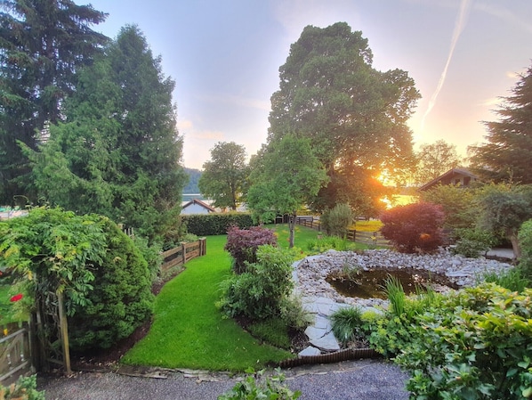 A garden with a pond, a wooden fence, and a house in the background.