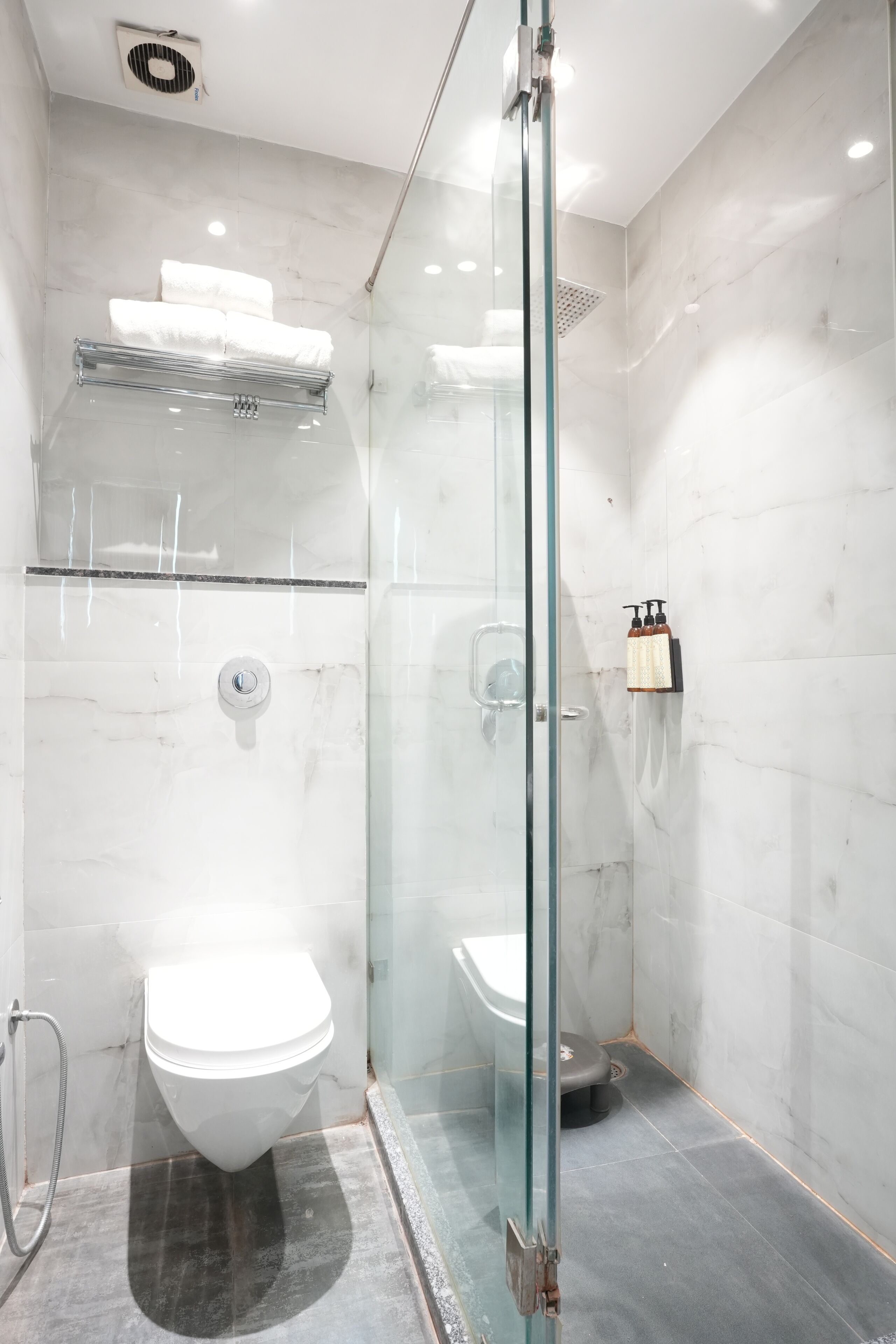 A modern bathroom with a glass-enclosed shower, a white toilet, and a glass shower door.