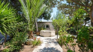 Um caminho de jardim leva a um edifício com entrada arqueada, cercado por diversas plantas e árvores.