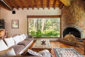 智能電視、壁爐、DVD 播放機、書籍