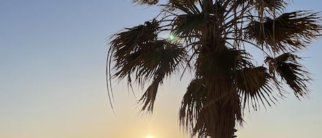 Appartement | Strand