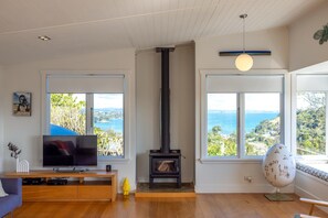 TV, fireplace, DVD player