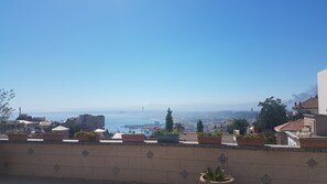 Une terrasse sur le toit, agrémentée de plantes en pot, d’où l’on peut admirer un paysage urbain et un plan d’eau.