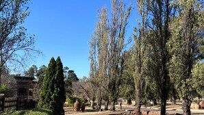 Un vialetto lastricato costeggiato da siepi curate e alberi, che conduce attraverso un giardino paesaggistico.