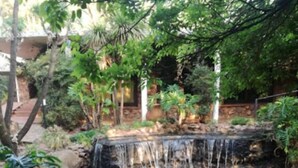 Una piccola cascata in un giardino con diverse piante e rocce.