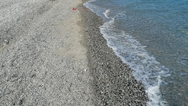 Una playa con agua azul cristalina, orilla pedregosa y palmeras a lo lejos.