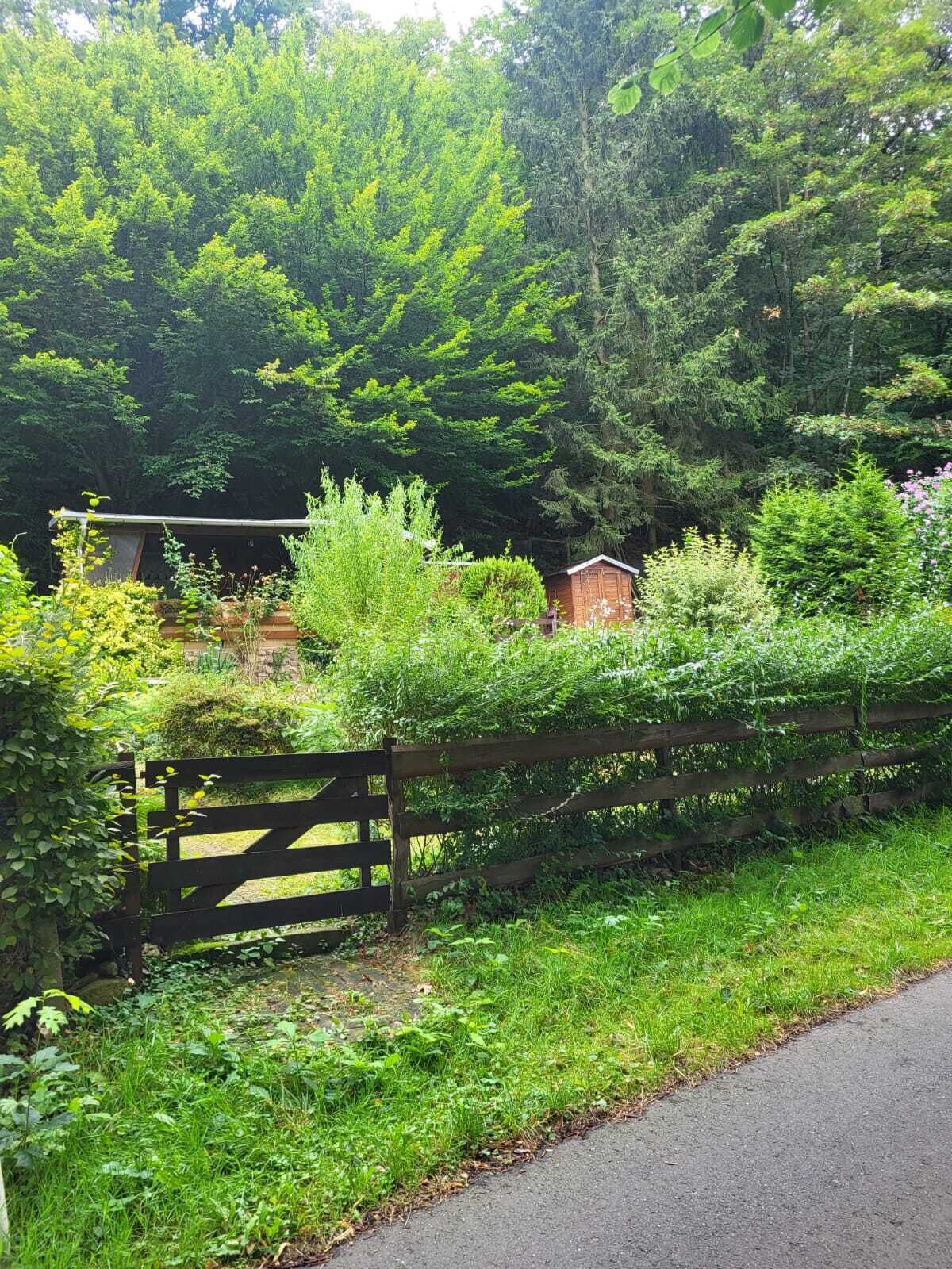 Une clôture en bois avec un petit abri situé derrière, le tout entouré d’un feuillage verdoyant et dense ainsi que d’arbres.