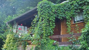 A rustic wooden cabin partially covered with lush green vines.