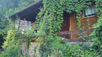 Detalle del exterior