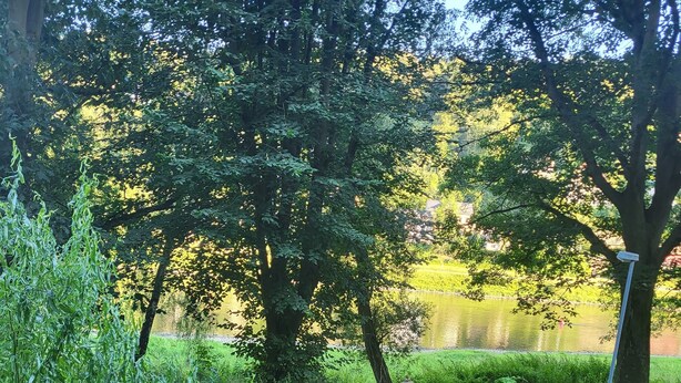A lush garden with dense foliage, a pond, and a wooden bridge.