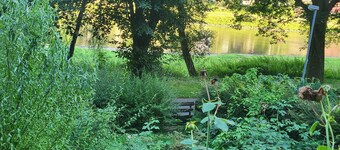 Romantische Gartenlaube mit Elbblick