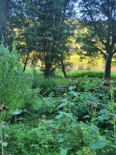Romantische Gartenlaube mit Elbblick