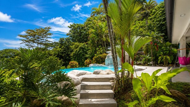 Une piscine avec des marches menant à l’eau, entourée d’une végétation tropicale et sous un ciel dégagé.
