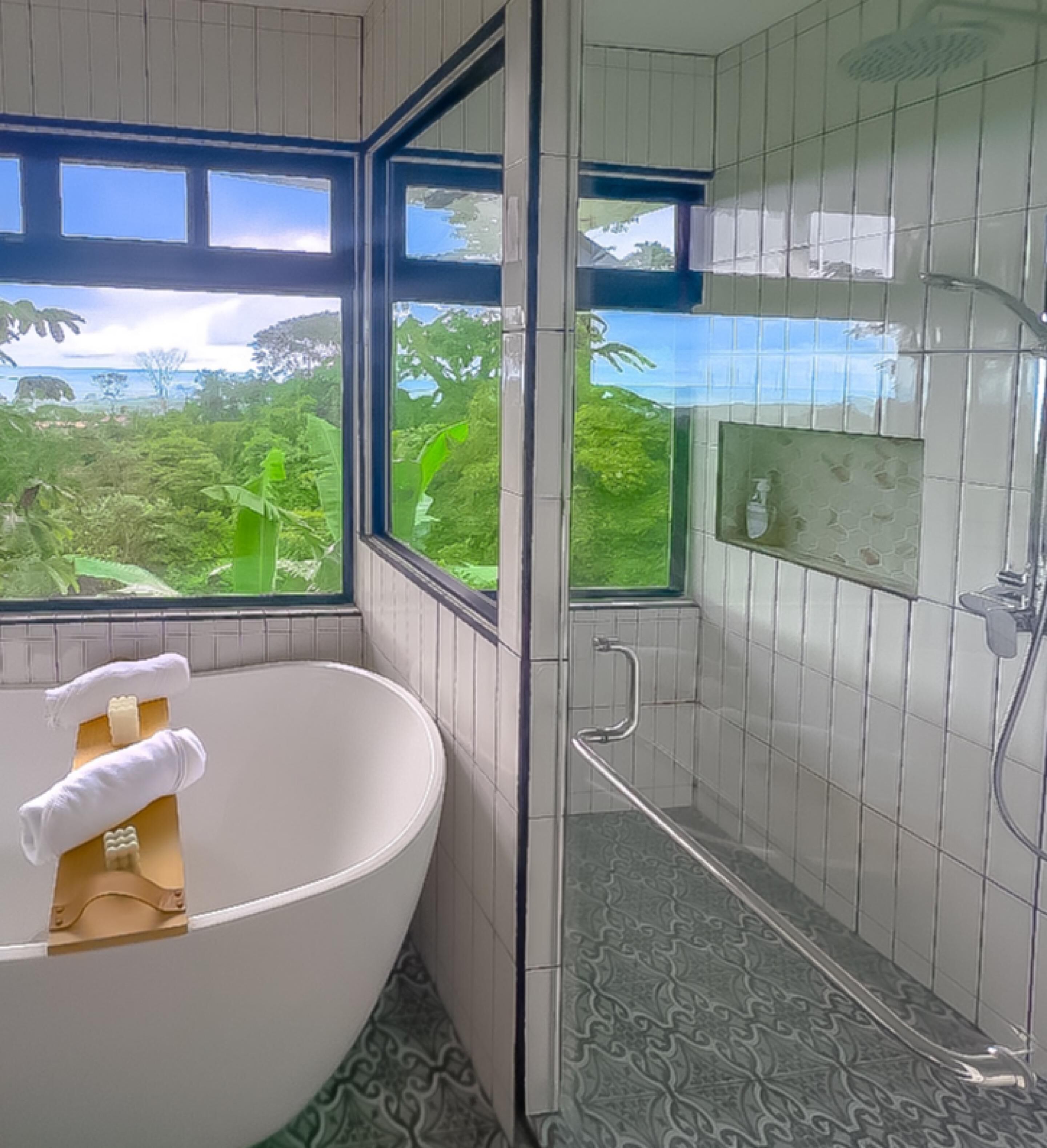 Towels, soap, shampoo, toilet paper