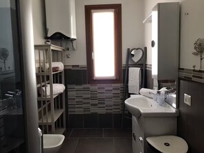 Shower, hair dryer, bidet, towels