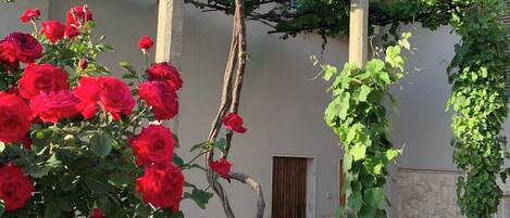 Detalle del exterior