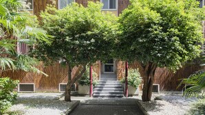 Un patio central con una escalera, rodeado de árboles y una valla de madera.