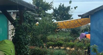ALMUS ŞEHRİ SEFA BUNGALOV EVLERİ