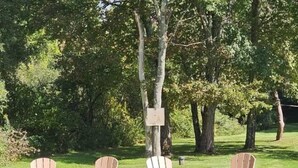 Three Adirondack chairs in a grassy area with trees in the background. - Private Apartment in Southbury 102 (Southbury)