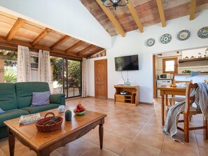 Fernseher, Kamin, DVD-Player