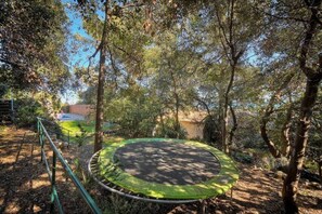 A trampoline surrounded by trees in a wooded area.