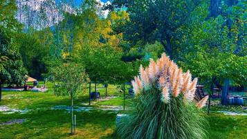 House | Property grounds