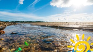 A riverbank with clear water, rocks, and a distant shoreline. - Studio Apartment with Sea View (Cabanas de Tavira)