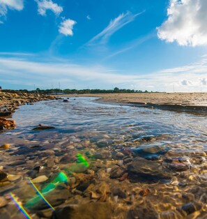 A riverbank with clear water, rocks, and a distant shoreline.