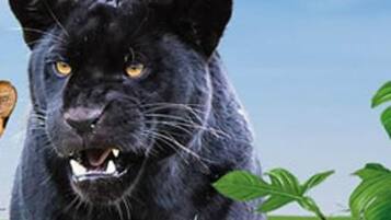 A black panther in a natural setting with greenery and a clear sky.