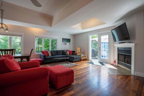 TV, fireplace