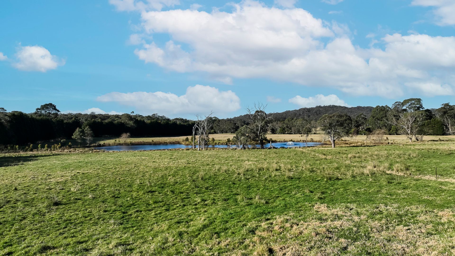A grassy field with a small body of water, trees, and a hill in the background.
