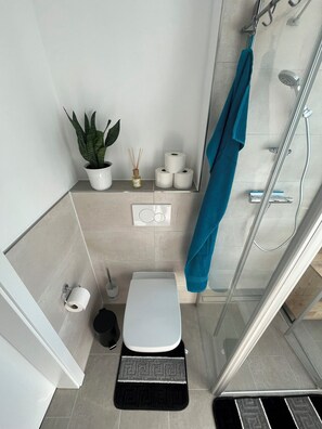 Hair dryer, towels, toilet paper