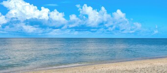 Bright Englewood Gem: Rooftop Patio, Walk to Beach