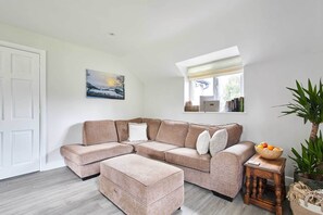 TV, fireplace, books, offices