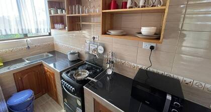 2-bedroom apartment in Moshi with WiFi, AC