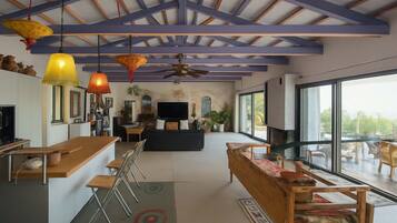 Télévision, cheminée, lecteur de DVD, chaßne hi-fi