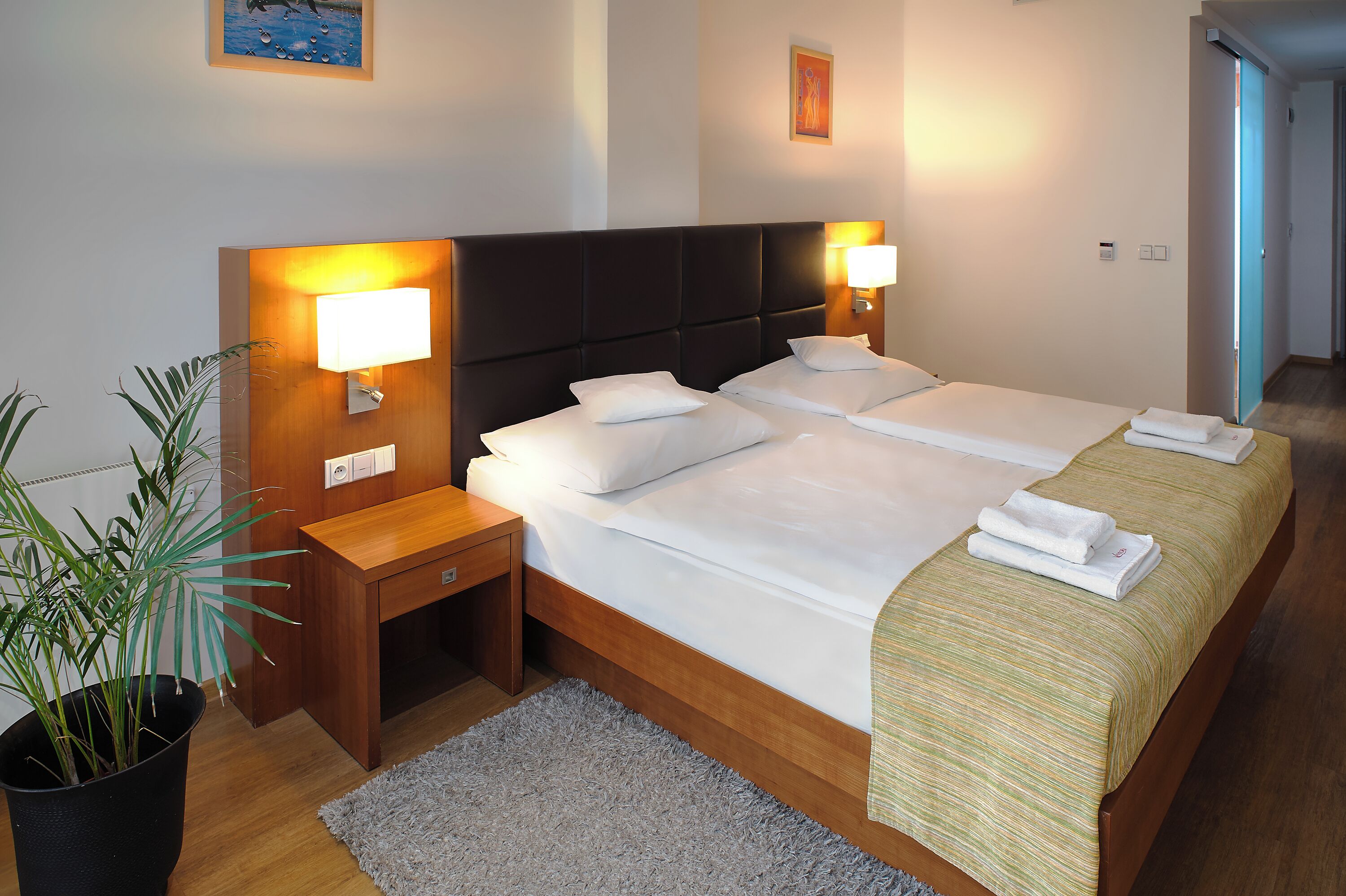 Une chambre d’hôtel avec un grand lit, des tables de chevet, une plante en pot et une vue sur le couloir.