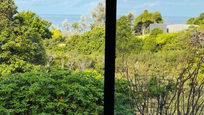 Vista di un rigoglioso giardino con vegetazione fitta e un edificio in lontananza.