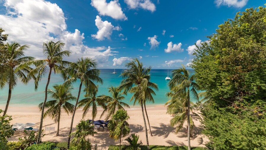 Smugglers Cove by Blue Sky Luxury