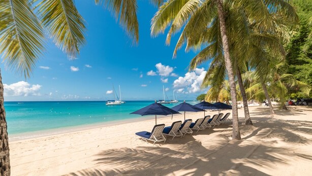 Ein Strand mit weißem Sand, Palmen und Liegestühlen unter blauen Sonnenschirmen.