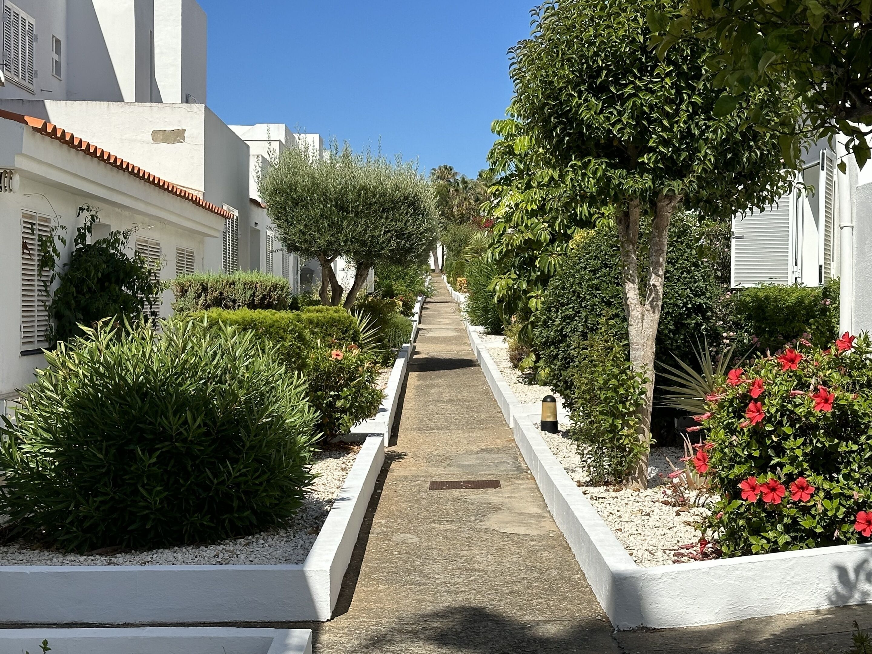A narrow pathway flanked by white buildings with shutters, surrounded by well-maintained greenery and flowering plants.