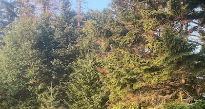 Rv/camper hook ups with scenic views