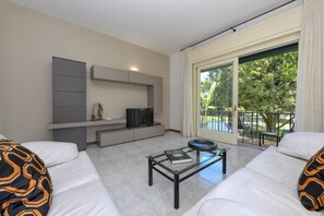 Smart TV, fireplace, books