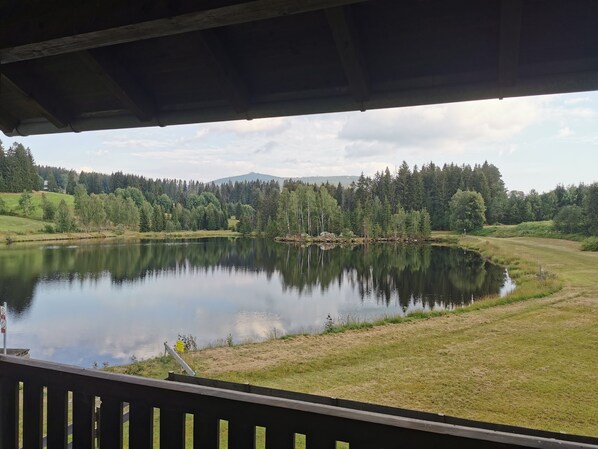 A tranquil lakeside view from a covered deck with a wooden railing, surrounded by dense forest and distant mountains. - Appartement am See (Haidmühle)