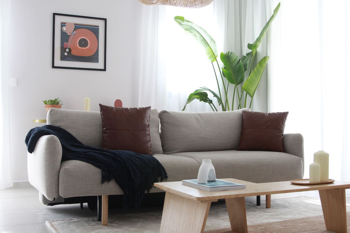 Ein modernes Wohnzimmer mit einer Couch, einem Couchtisch und einer großen Pflanze.