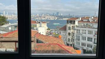 A view through a window of a cityscape with buildings, a body of water, and a distant skyline.