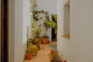 Exterior detail - A picturesque Andalucian farmhouse (Fuente del Conde)