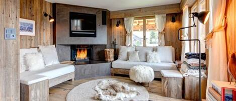 Télévision, cheminée, lecteur de DVD, livres