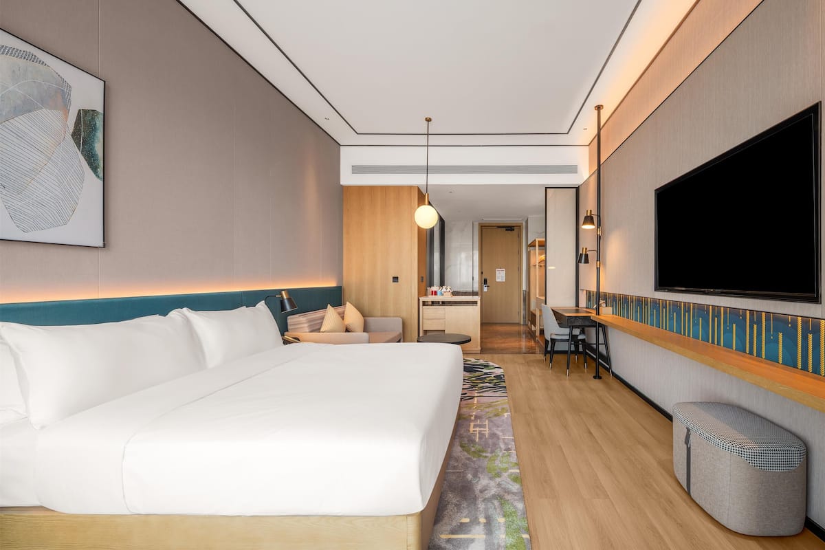 Room, 1 King Bed (Sofabed)